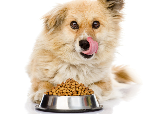 飼料加工生產—酶制劑解決方案 飼料加工生產—酶制劑解決方案